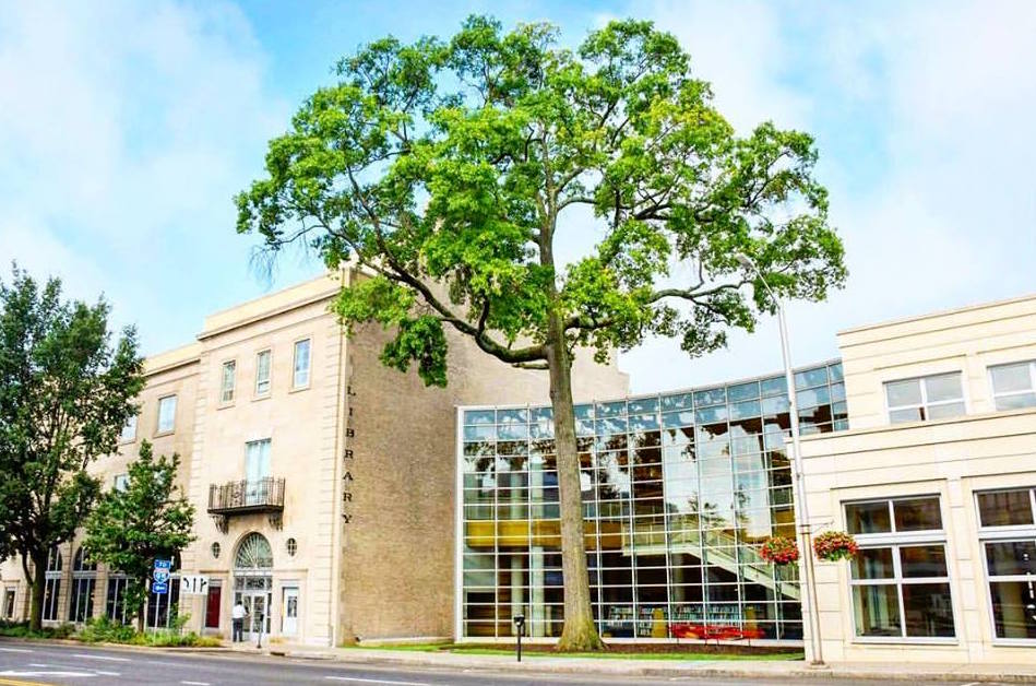 Greenwich Library: Involving the Community
